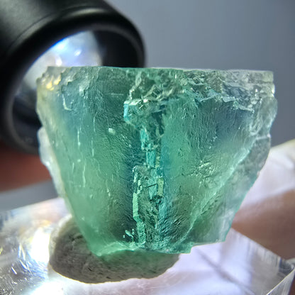 Cube de fluorite fantôme transparente parquetée, vert Okorusu, Namibie 21 x 21 x 19 mm 