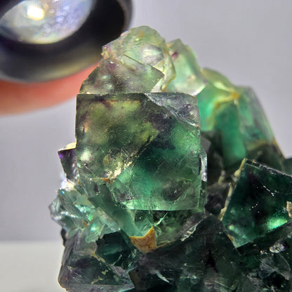 Spécimen de cube de fluorite fantôme parqueté vert violet Okorusu, Namibie 55*48*39mm 