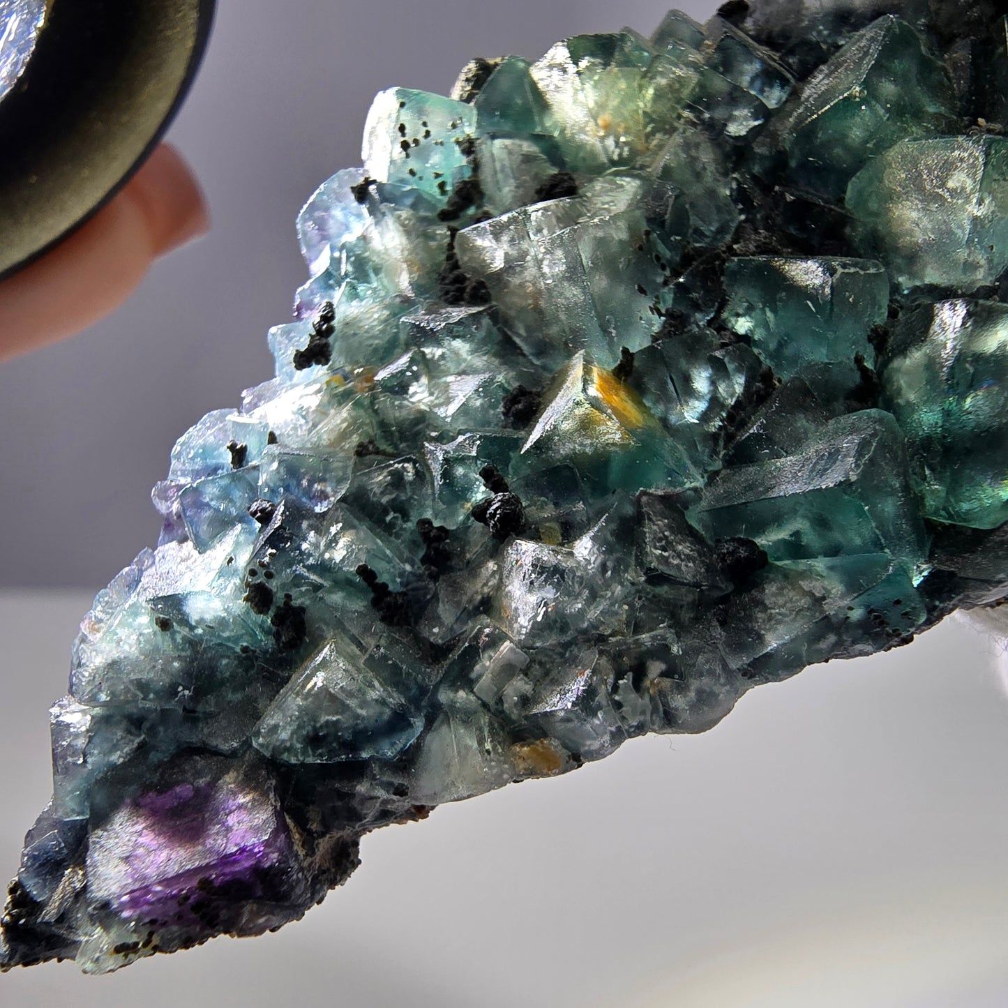 Cubes rares de fluorite fantôme zonale, vert violet, Erongo, Namibie 74 x 41 x 9 mm 