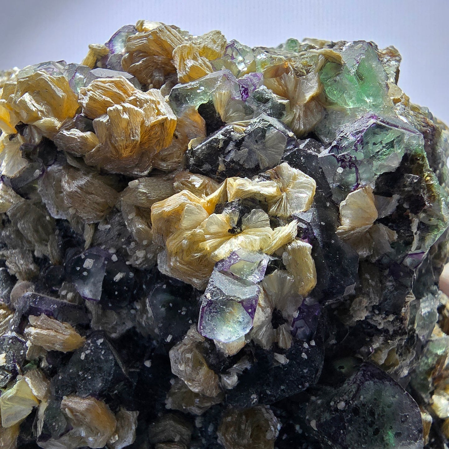 Fluorite fantôme XL, muscovite, hyalite, quartz fumé, tourmaline Schörl, Erongo, Namibie, 132 x 116 x 98 mm 