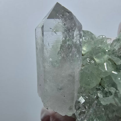 Spécimen de quartz clair, de préhnite et de calcite Streep Mine, Goboboseb, Namibie 49*38*23 mm 