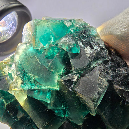 Rare spécimen de cube de fluorite fantôme, parqueté vert Okorusu, Namibie, 92 x 61 x 38 mm 