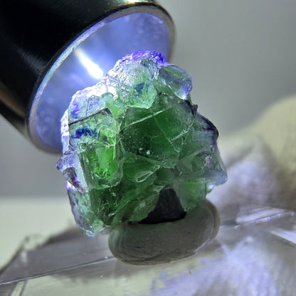 Cube de fluorite fantôme zonal, spécimen de tourmaline Schorl, Erongo, Namibie, 14 x 13 x 13 mm 