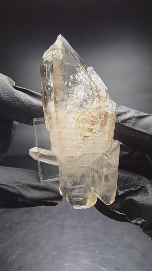 Fenêtre à Quartz fumé fantôme clair, étape à Double extrémité Goboboseb Namibie 68*27*28mm