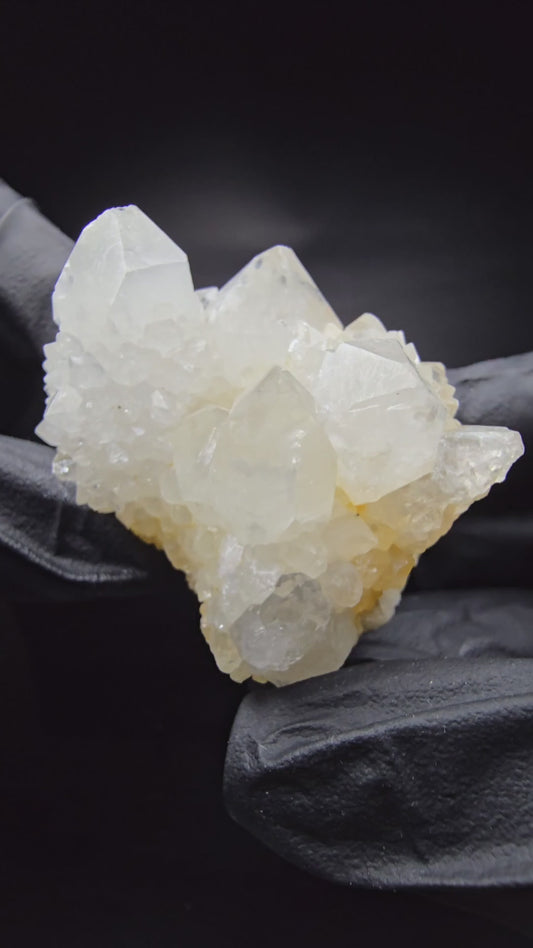 Cactus Quartz, Spirit Quartz XX Level Boekenhouthoek, Afrique du Sud 50*43*38mm Collection