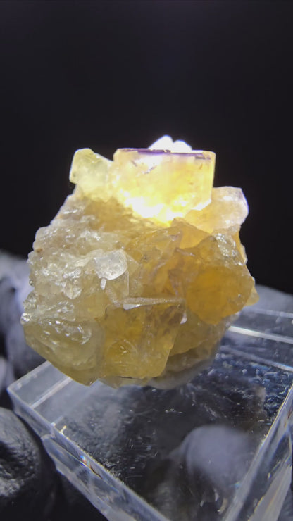 Phantom Fluorit Würfel Stufe gelb lila Okorusu, Namibia 30*24*16mm Sammlung