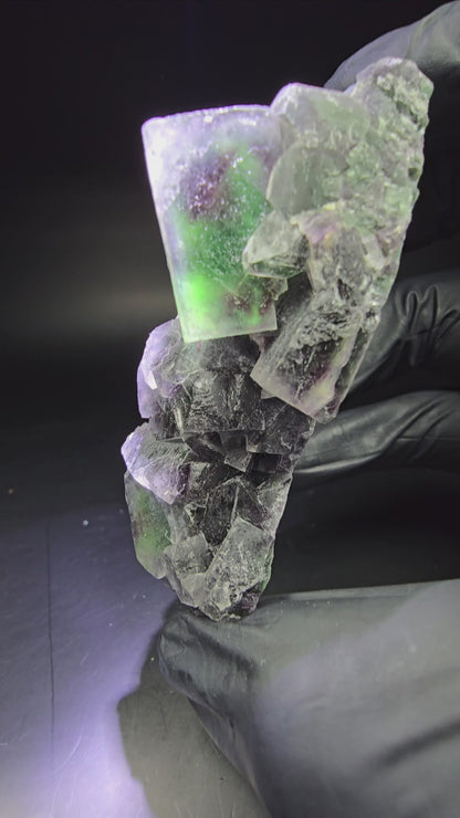 Rare niveau de cube de fluorite fantôme violet vert 86*46*31mm d'Okorusu, Namibie