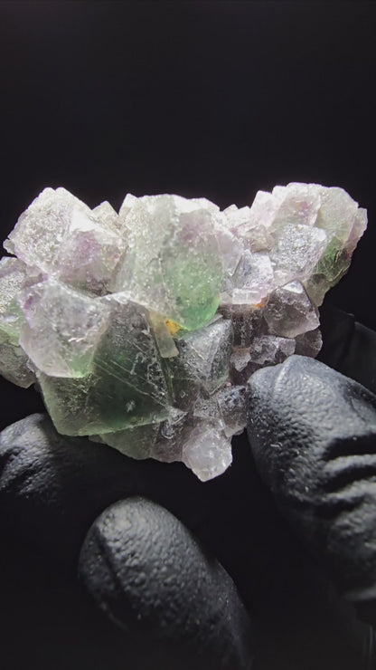 Phantom Fluorite Cube Tier Violet Vert Blanc Erongo, Namibie 55*35*21mm Collection