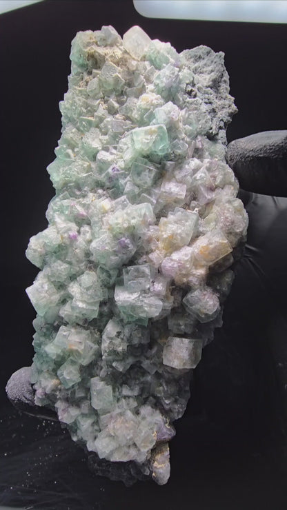 Grands cubes de fluorite zonaux, niveau de quartz vert violet Erongo, Namibie 124*59*27mm