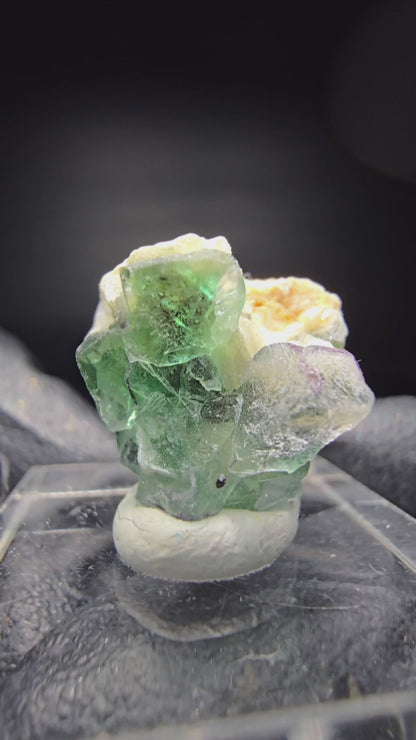 Fluorite fantôme sur scène muscovite Erongo namibie 19*17*11mm Collection minérale