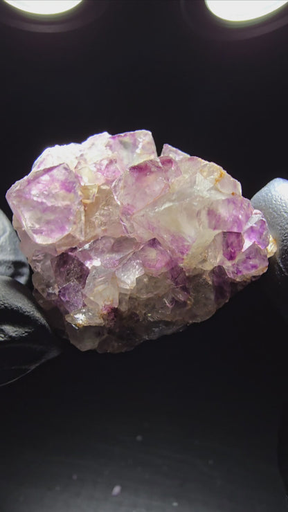 Zonare Fluorite Cube Tier Vert Violet Okorusu, Namibie 42*36*18mm Collection