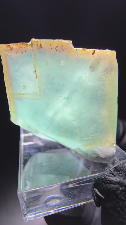 Cube de fluorite fantôme transparent, vert jaune, Erongo, namibie, Collection 28x26x18mm