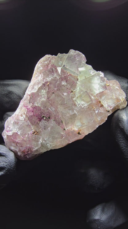 Zonare Fluorite Cube Tier Vert Violet Okorusu, Namibie 52*37*29mm Collection