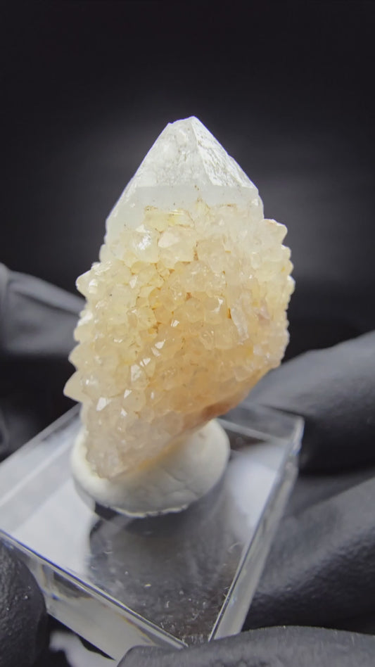 Quartz cactus, quartz spiritueux niveau XX Boekenhouthoek, collection Afrique du Sud 35*23*17