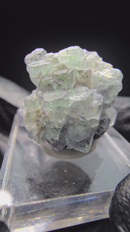 Phantom Fluorite Cube Tier Violet Vert Erongo Namibie 23*19*16mm Collection