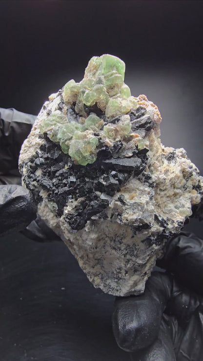 Grande fluorite fantôme, tourmaline Schörl, stade muscovite Erongo Namibie 82*51*58mm