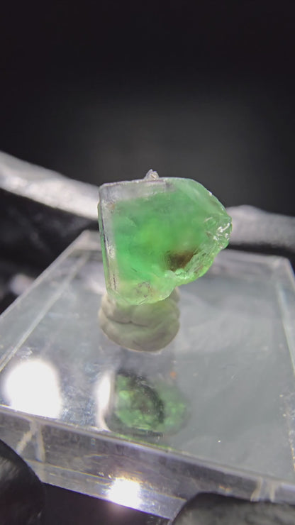 Cube de fluorite fantôme transparent marron violet vert Erongo namibie collection 11*10*8mm