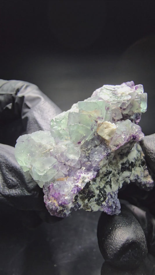 Cubes de fluorite zonar clairs sur spécimen de tourmaline Schörl Erongo, Namibie 51*41*26mm